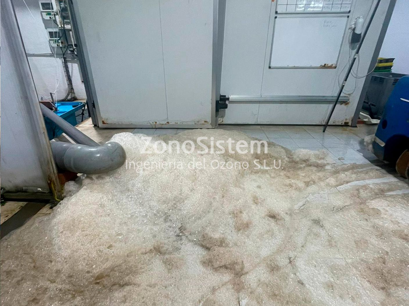Ozônio para piscicultura de limão, Espanha.