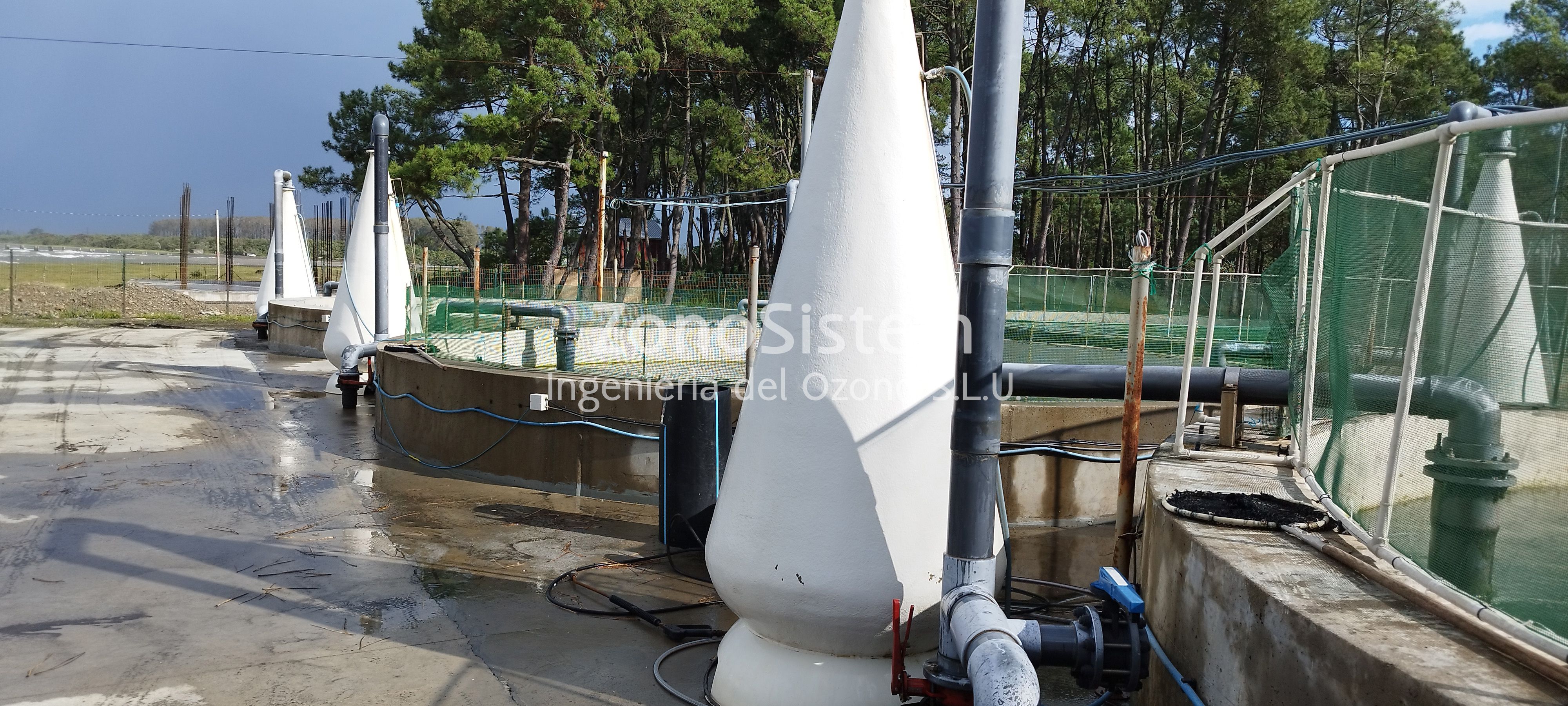 Ozono para piscifactorías de salmones, Georgia.