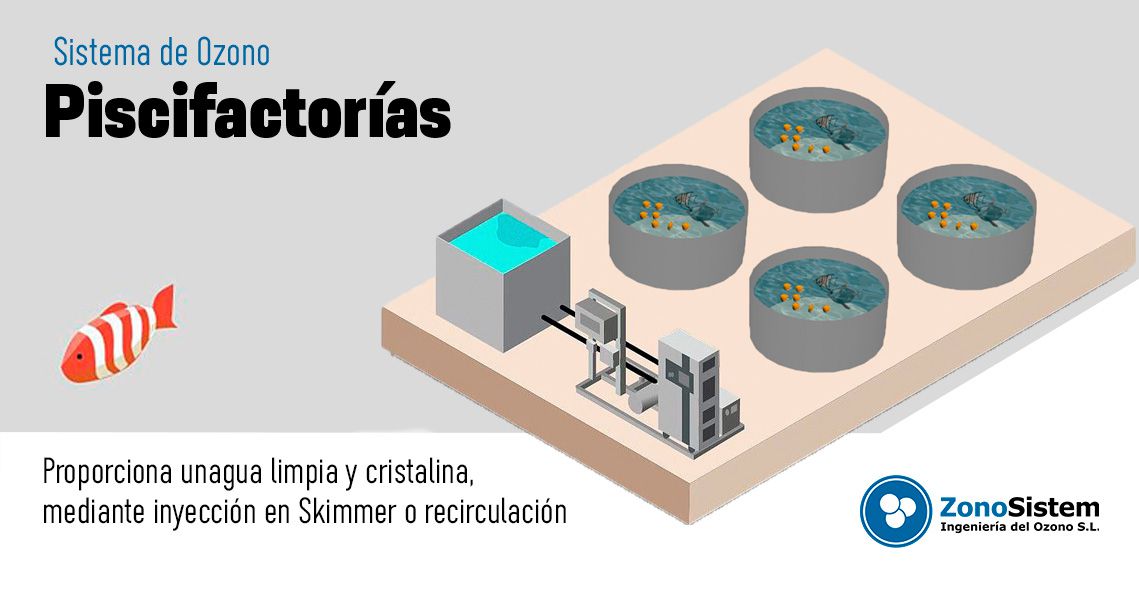 Ozônio para estação de tratamento de moluscos