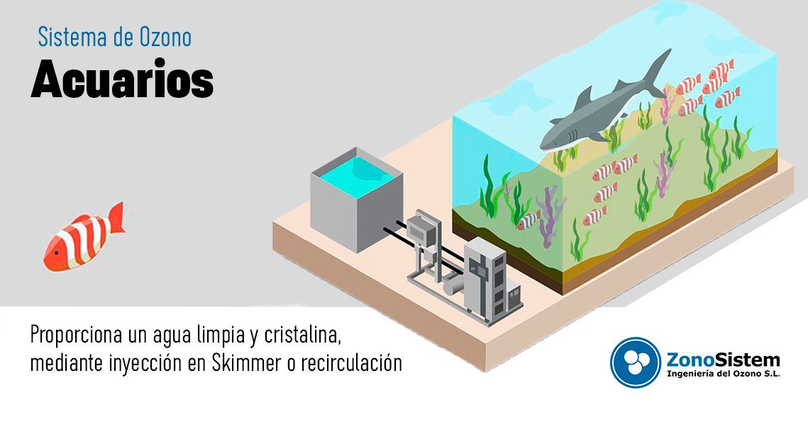 Ozone for Aquariums and Fish Farms