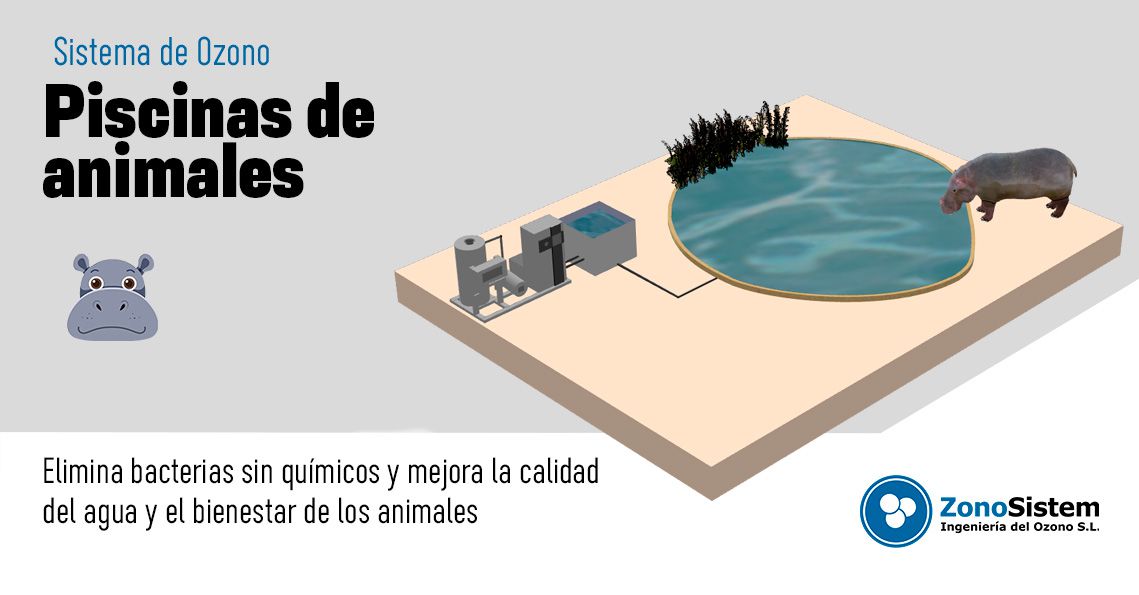 Ozono para Depuradora de Moluscos