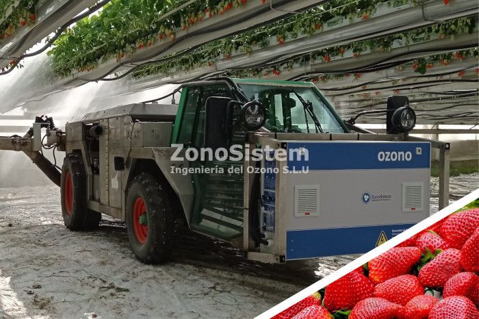 Ozono para cultivo hidropónico de Fresas. Lompian, Francia.