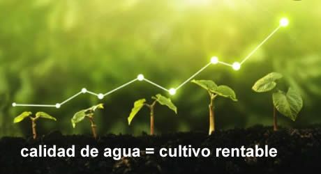 ¿Quieres mejorar el rendimiento de tu cultivo?