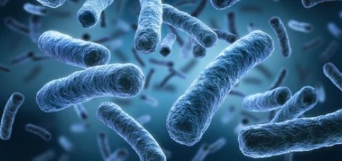 Elimina la legionella