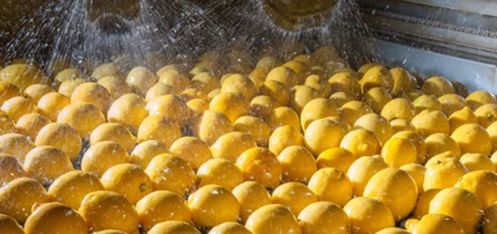 Problemi con l'acqua nel lavandino di frutta e verdura?