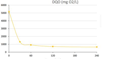 Réduit la DCO et la DBO