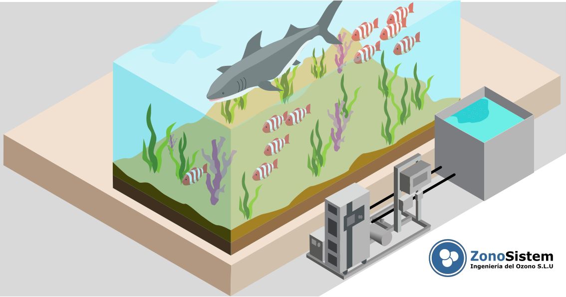Ozono per acquari e allevamenti ittici