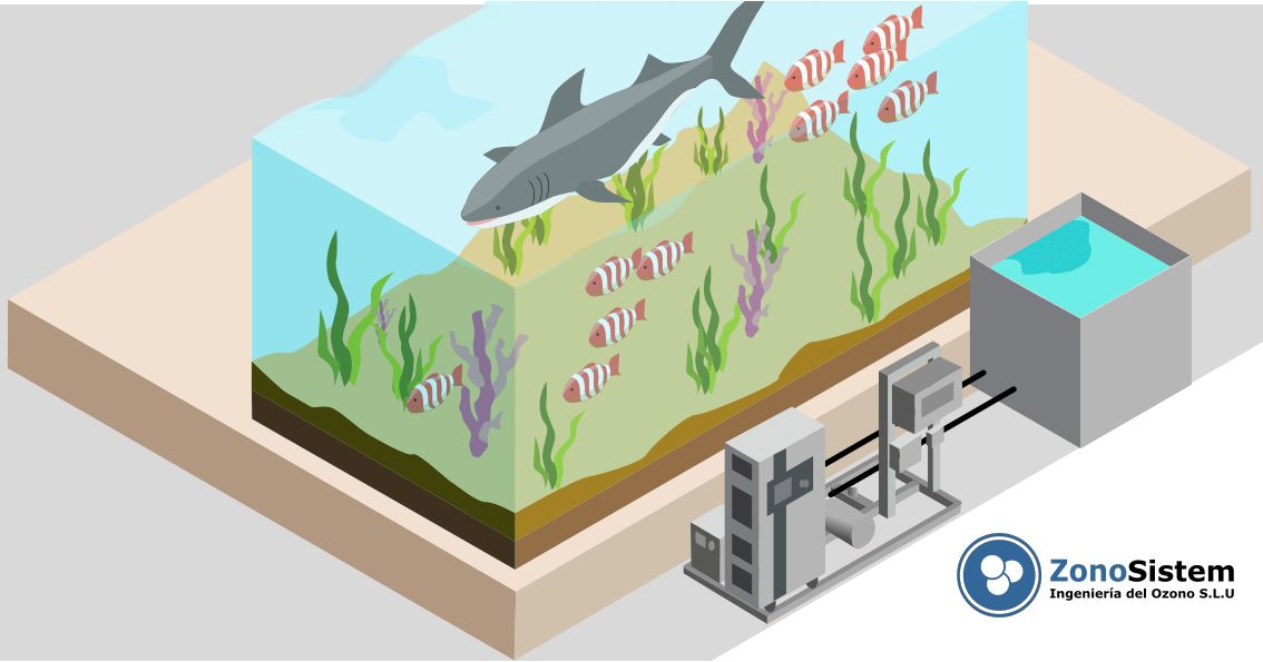 Ozono para Acuarios y Piscifactorías