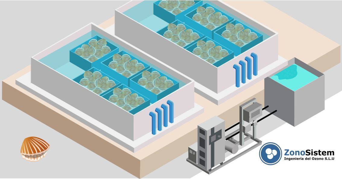 Ozone pour l'usine de traitement des mollusques