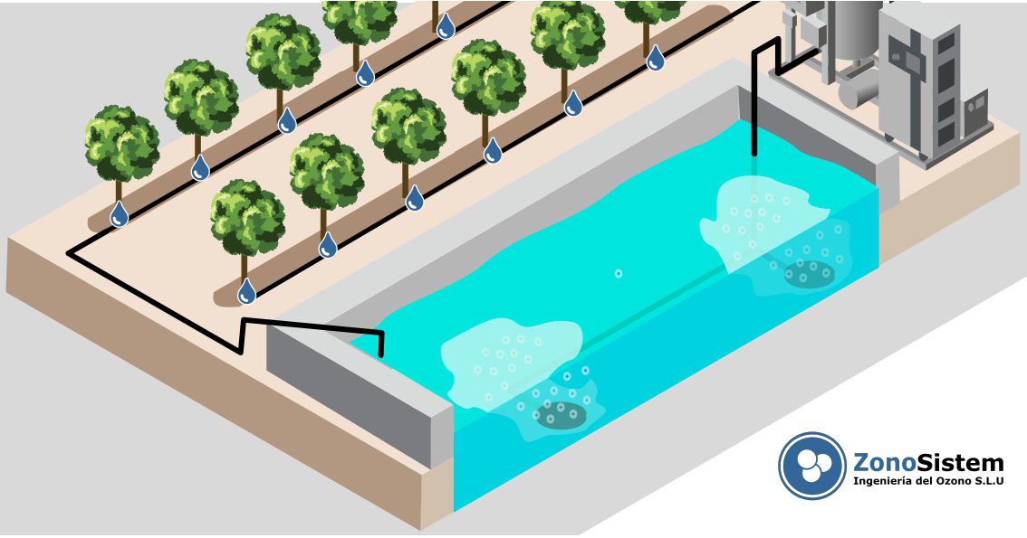 Ozone irrigation pond