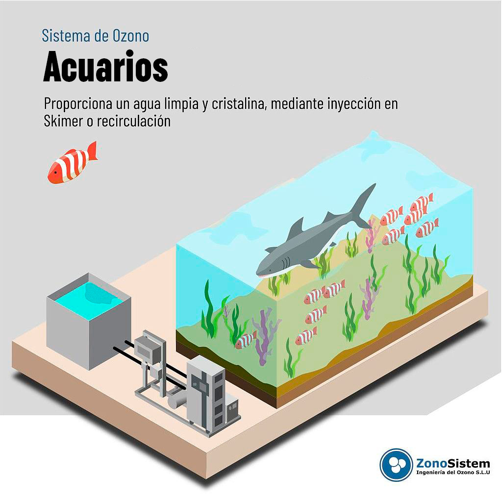 Use of ozone in fish farms 