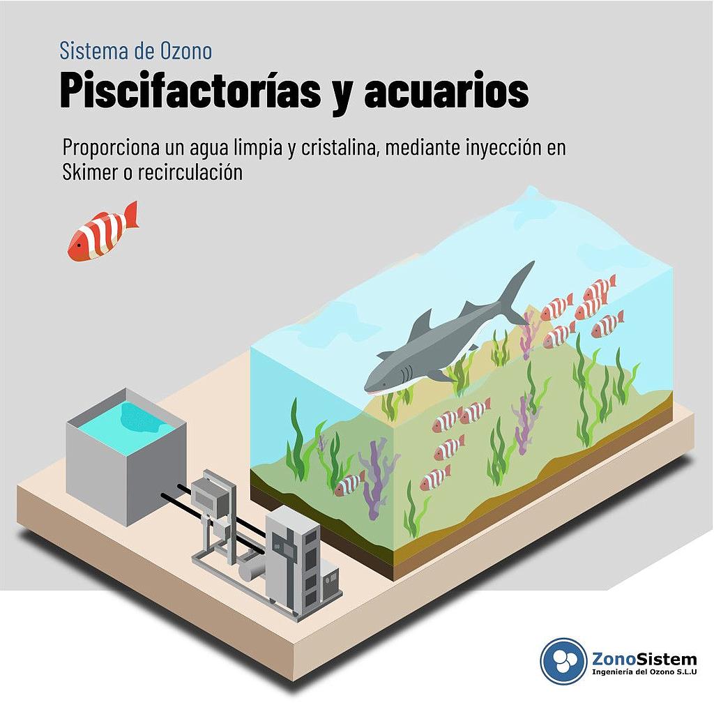 Uso del ozono en piscifactorías y acuarios