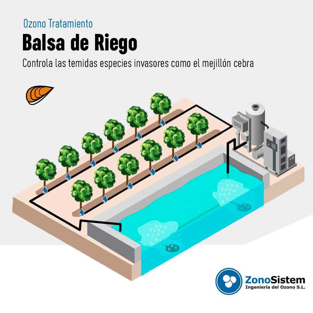 Uso de Ozono en Balsas de Riego
