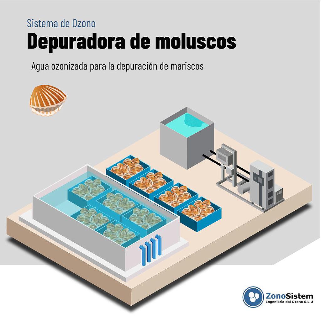 Uso do ozônio em depuradora de moluscos