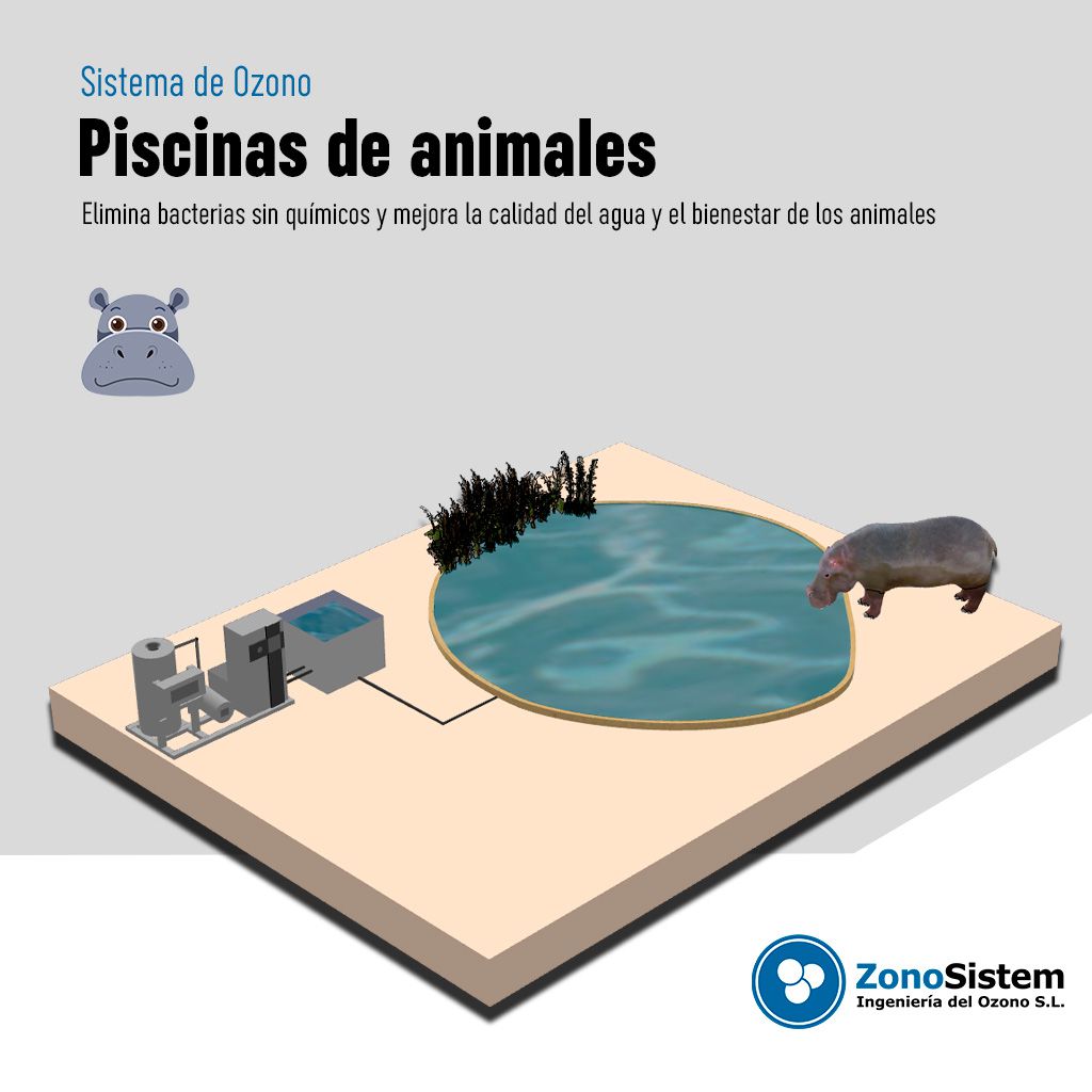 Uso do ozônio em piscinas de animais